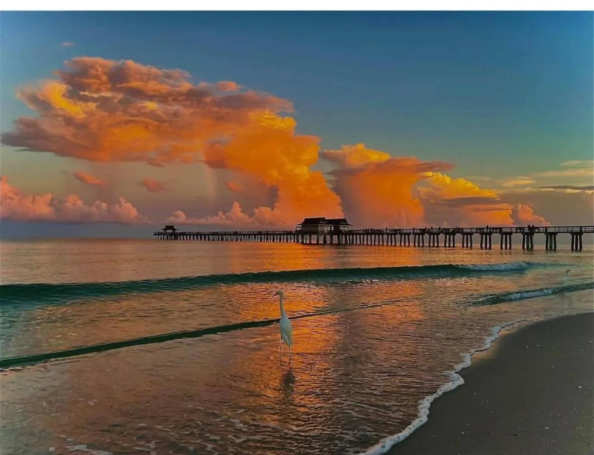 Dream At Wtc With Heated Pool Sauna 7 Bicycles And 3 Mls To * North Naples