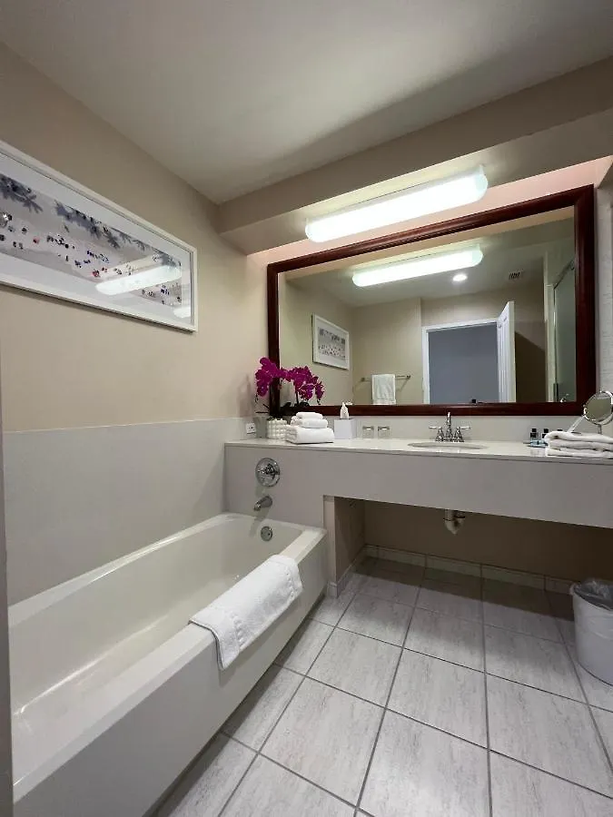 Hotel The Capri 4*
