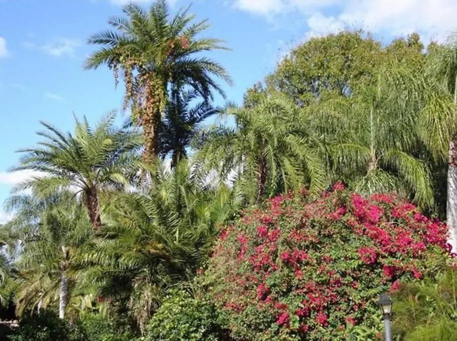 Διαμέρισμα Park Shore Beautiful Floor 2bed 2bath