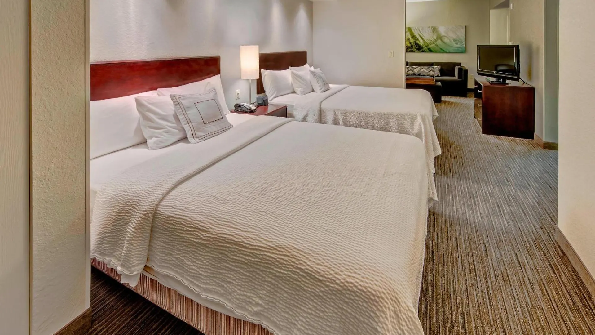 Hotel Springhill By Marriott North Naples