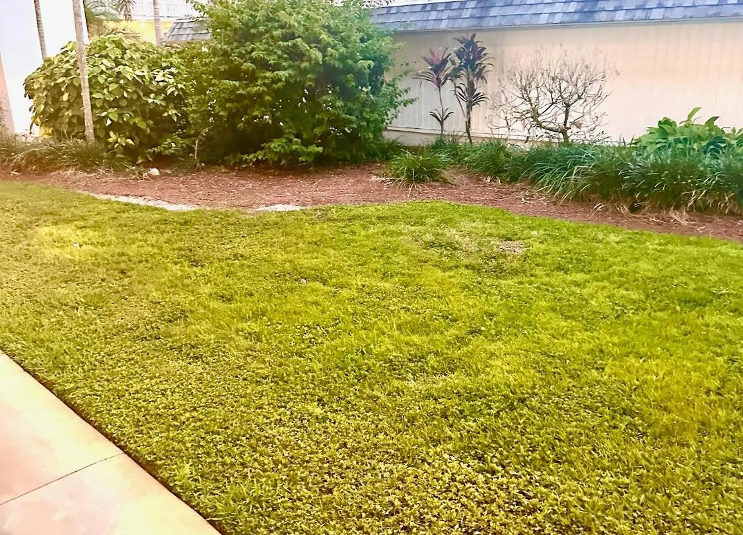 Stunning 2-bd Naples, 55+, Pool, Chickee, Golf *