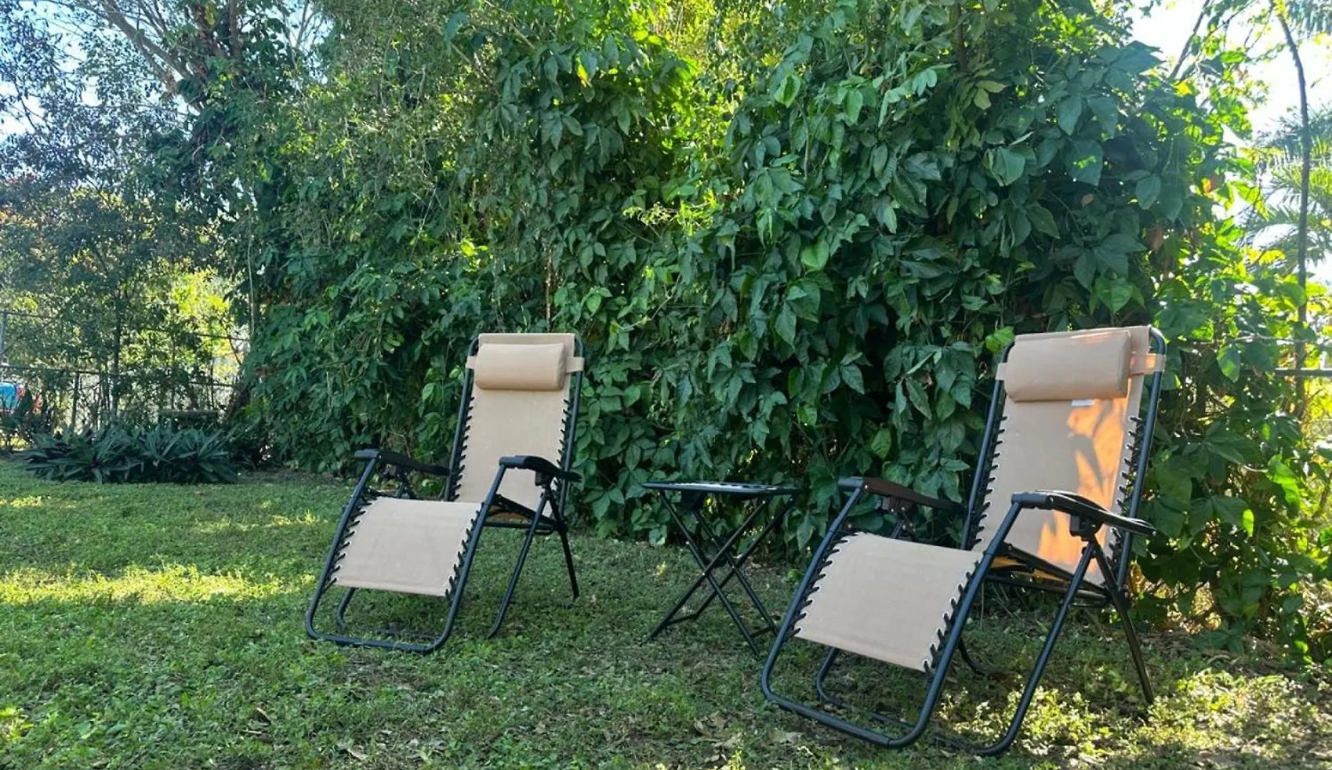 Charming Oasis - Close To Beaches & Shops