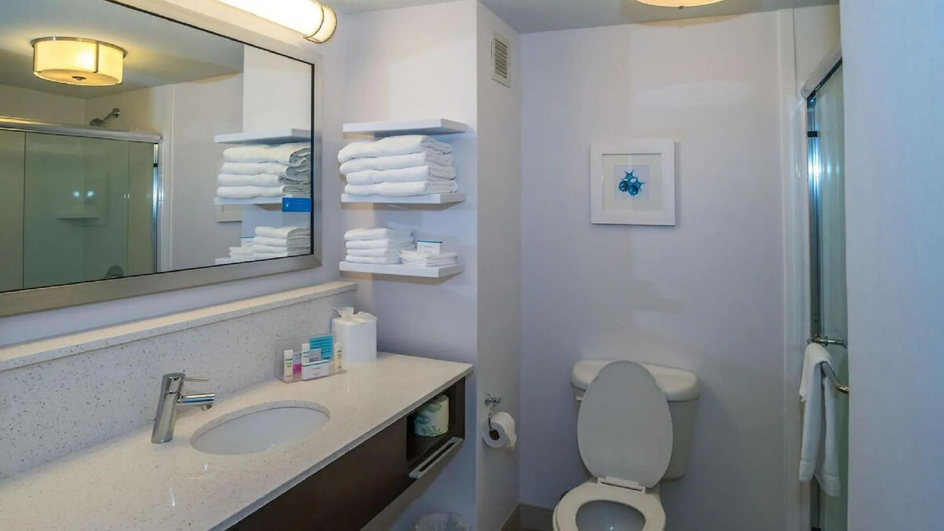 Hotel Hampton - I-75 North Naples