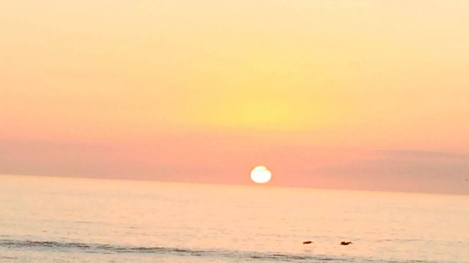Sunrise 汽车旅馆 North Naples