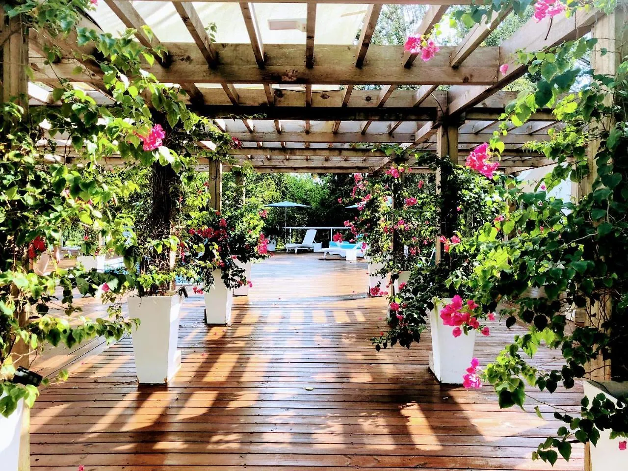 Orchid Estate #1 - Three Bedroom *