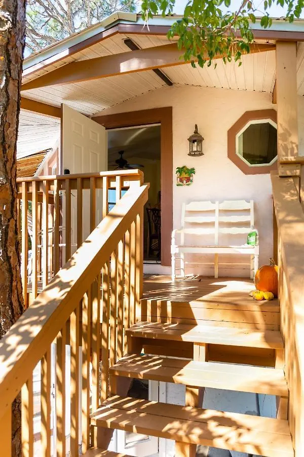 By 5 - The Treehouse *