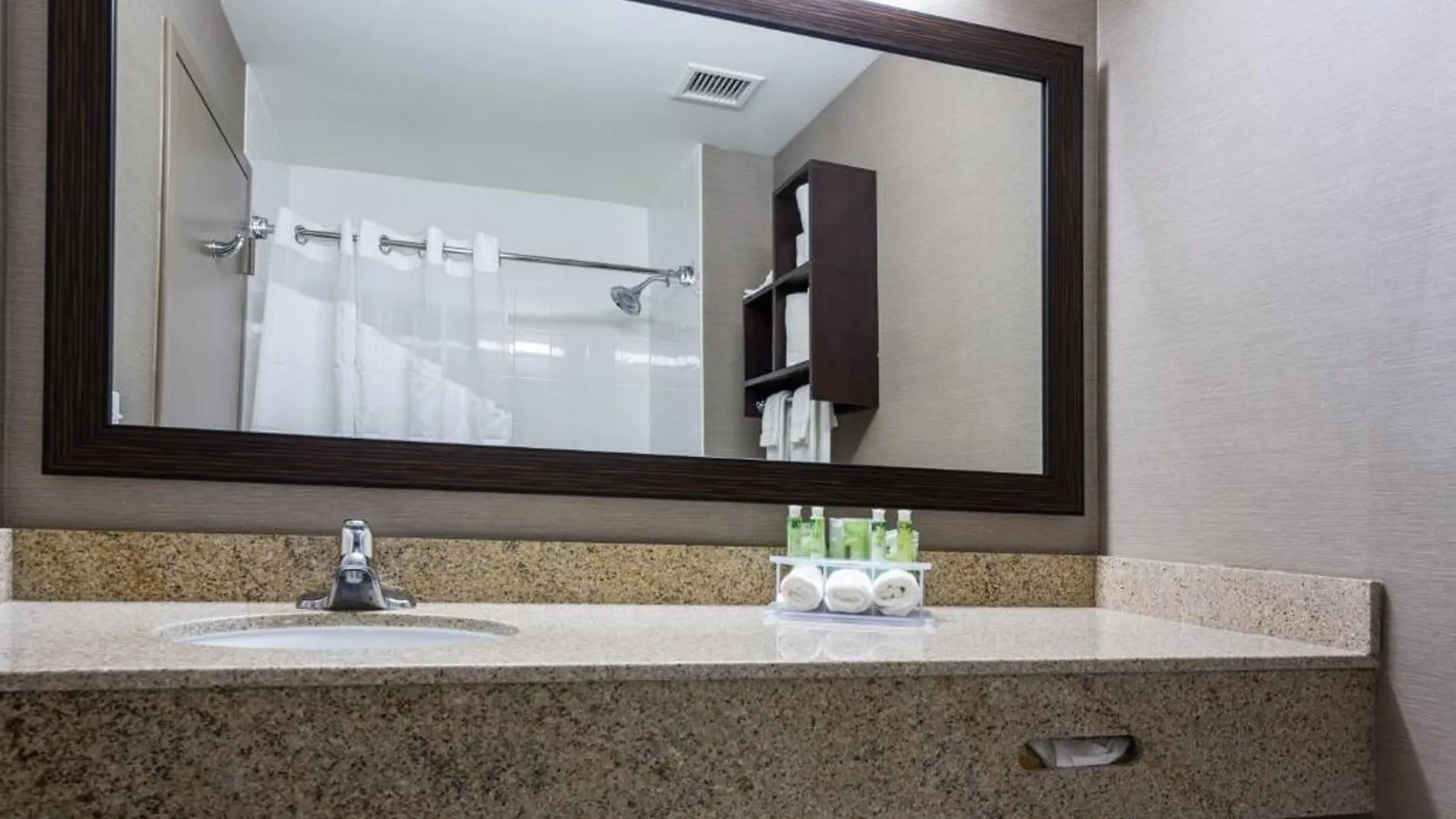 Otel Express & Downtown - 5th Avenue By Ihg 3*