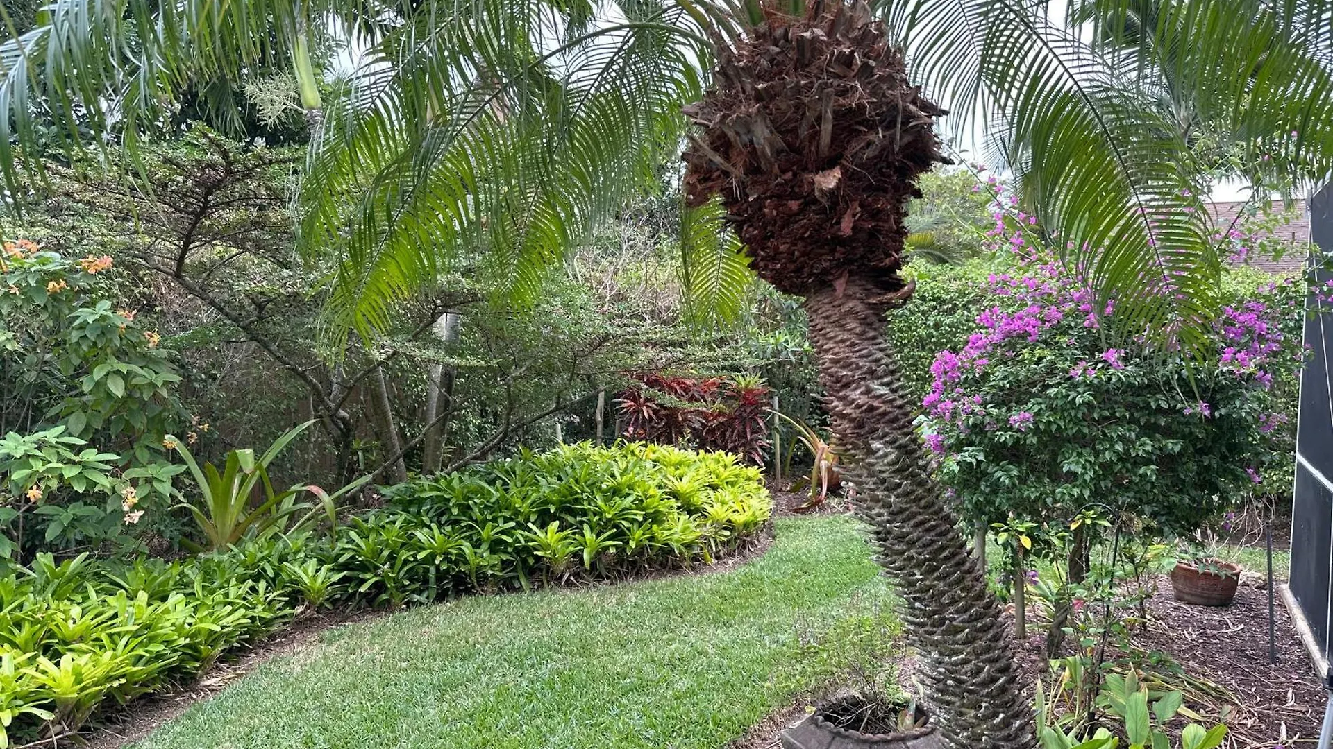 Florida House, 4br 2bt With Private Pool Oasis *