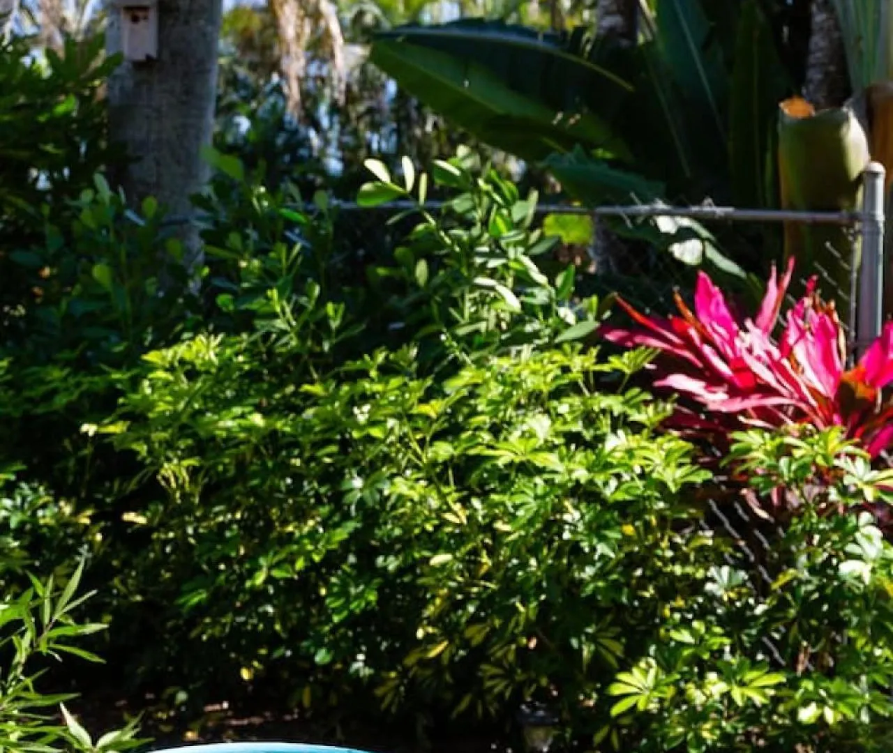 Garden Just Minutes To Sandy Beaches 公寓