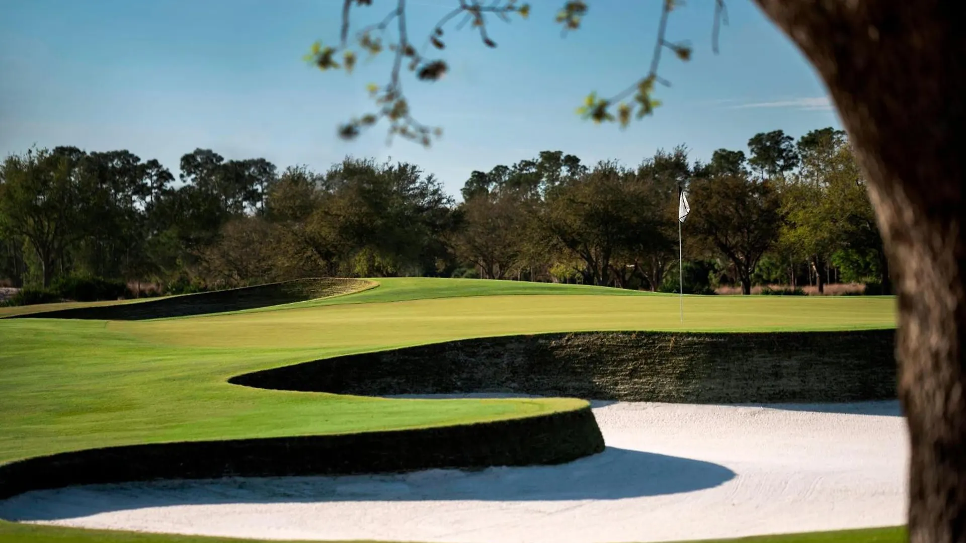 The Ritz-carlton Naples, Tiburon Rezort 5*
