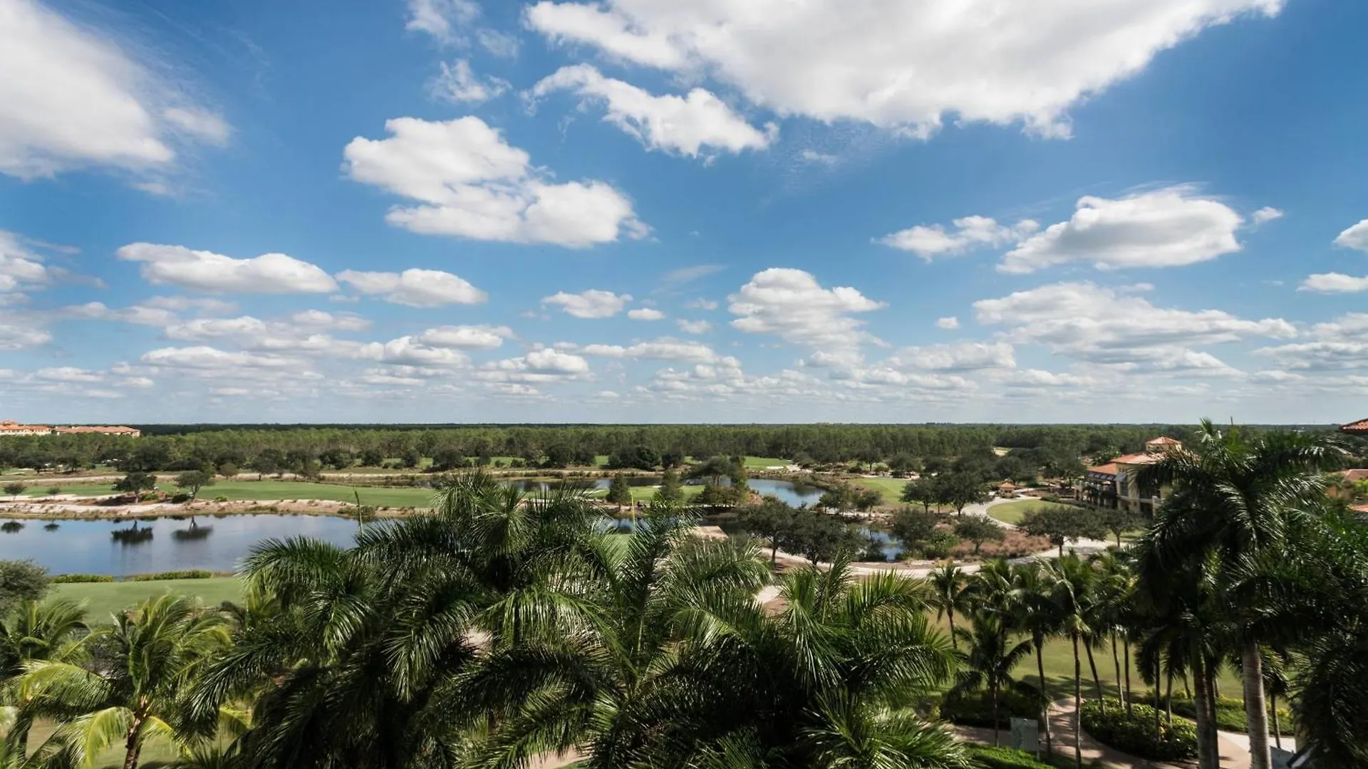 The Ritz-carlton Naples, Tiburon Rezort 5*