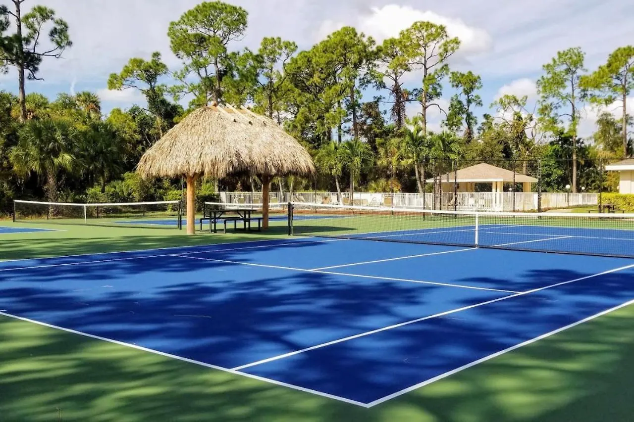 Imagine Where Sunshine Dreams True North Naples