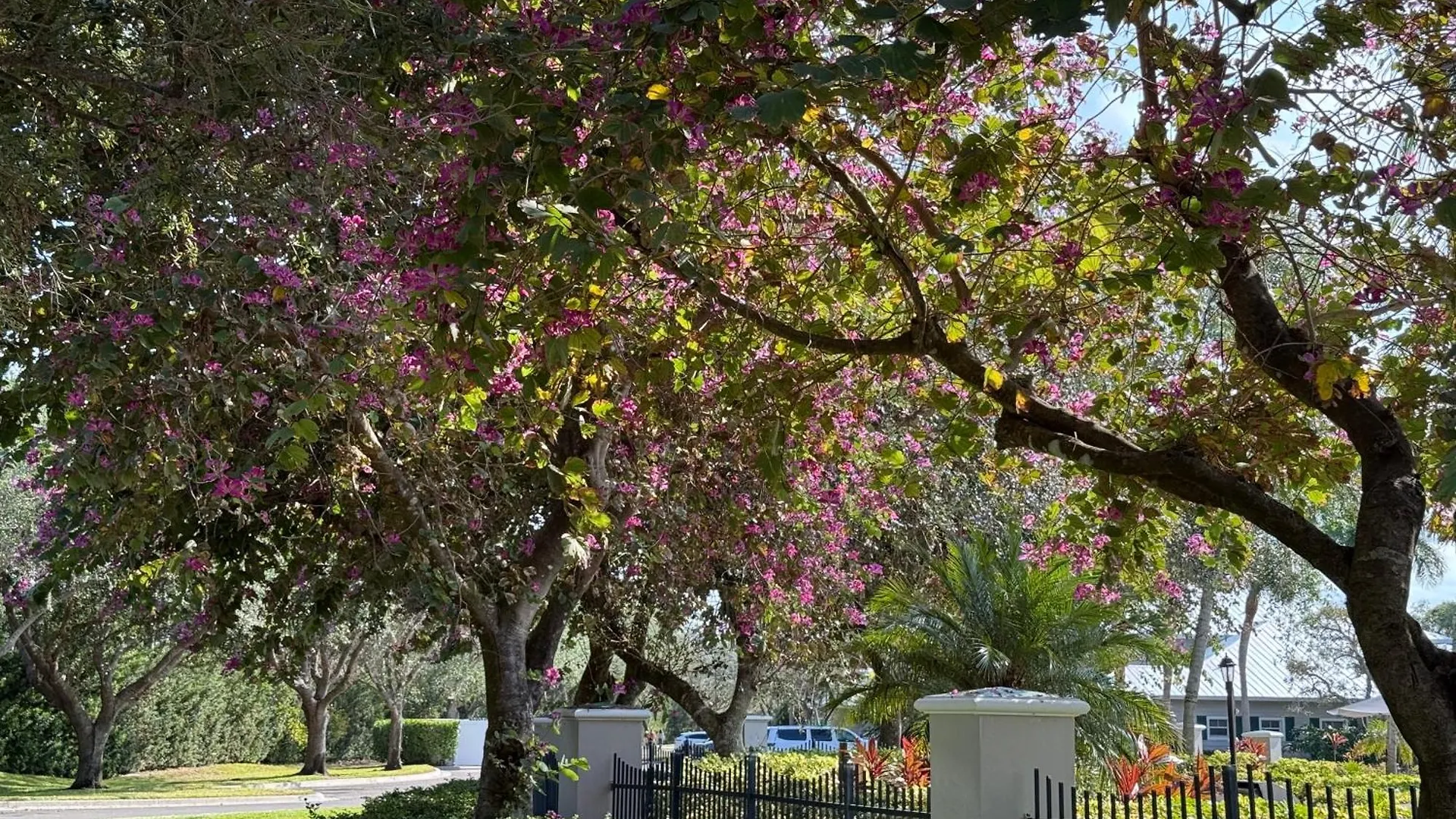 Spacious 2 Bedroom Lely Fl