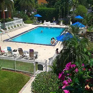 Hotel Collins 3*
