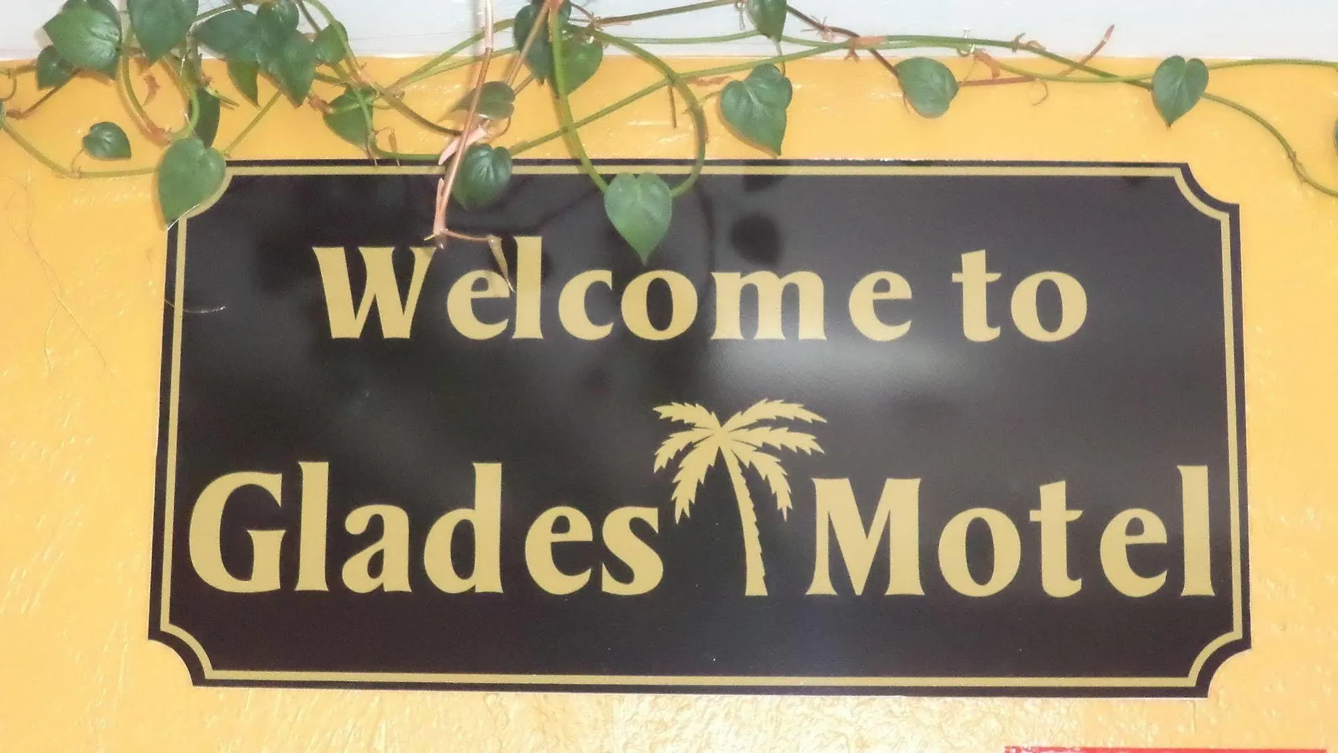 Glades - 2*