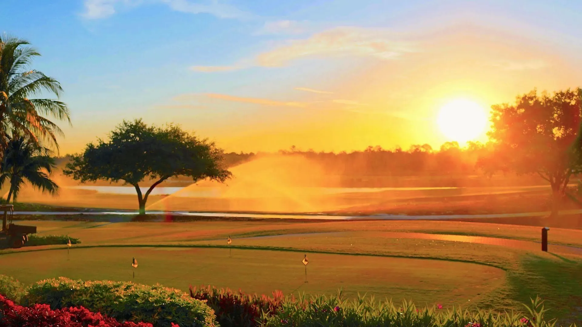 The Ritz-carlton Naples, Tiburon 5*