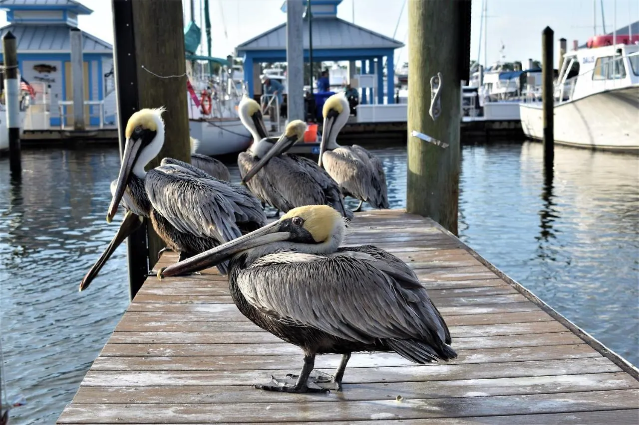 Cove On Bay North Naples
