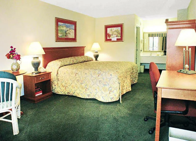 Hotel Collins