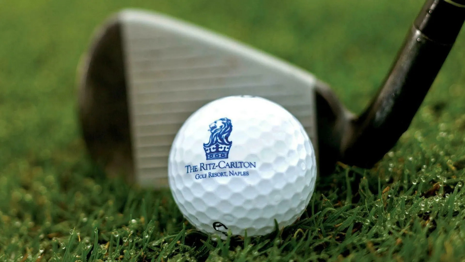 The Ritz-carlton Naples, Tiburon 5* North Naples